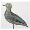 Image 1 : EXTREMELY early Golden plover ca 1870 in eclipse 