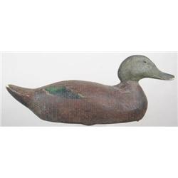 Black duck decoy by the Sperry Decoy Company, New