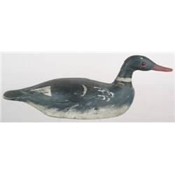 Rare solid body, red breasted merganser drake dec