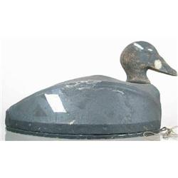 The Annisquam Coot Decoy. A unique canvas over f