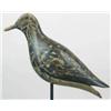 Image 1 : Boldly carved plump black-bellied plover ca 1900 