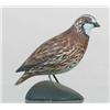 Image 1 : Tiny miniature Bob-White quail by A. E. Crowell,