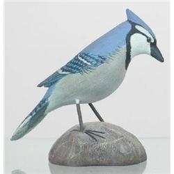 Miniature Blue Jay by Jess Blackstone. Blue Jay,