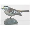 Image 1 : Miniature White Throated Sparrow  with drop wing 