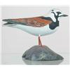 Image 1 : Miniature Ruddy Turnstone with split wings and ca