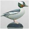 Image 1 : Larger miniature bufflehead drake with split tail