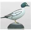 Image 1 : Miniature goldeneye drake with Goldeneye Drake a