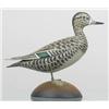 Image 1 : Miniature green wing teal drake with raised split