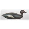 Image 1 : EARLY RARE redbreasted merganser hen ca the late 