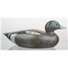 Image 1 : Solid body widgeon drake by Henry Keyes Chadwick 