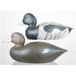 Pair of solid body, glass eye bluebills by Henry 