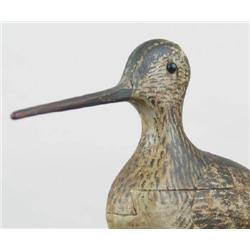 RARE AND DESIRABLE longbilled dowitcher in XOC wi