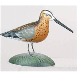 Miniature dowitcher by Anthony Hillman in XOC. Si