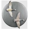 Image 1 : Two miniature flying Canada geese mounted on a bl