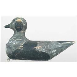 Rare early Labrador duck from LI.  Ca late 1800s.