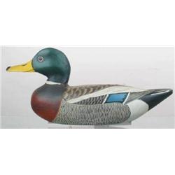 Mallard drake decoy with carved and painted eyes 