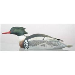 Hollow turned head redbreasted merganser drake by