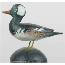 Miniature hooded merganser drake by A. E. Crowell