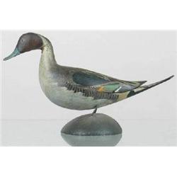 Miniature pintail drake by A. E. Crowell, East Ha