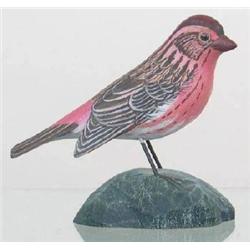 Miniature Purple Finch with a turned head and dro