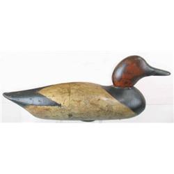 Mason painted eye canvasback drake in old paint s