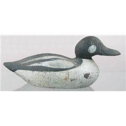 Golden eye drake decoy attributed to the Sperry F