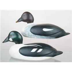 OUTSTANDING Pair of turned head golden eye decoys