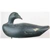 Image 1 : Great solid body white wing scoter decoy with a r