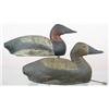 Image 1 : Pair of canvasback decoy with bold head and bill 