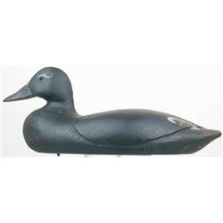 Solid body white wing scoter decoy with pinhead g