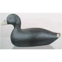 Solid body fresh water coot decoy in good old pai