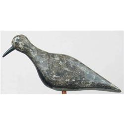 Black bellied plover decoy with a strong attribut