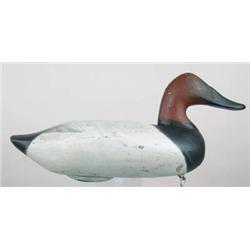 Canvasback drake decoy from the Chesapeake Bay by