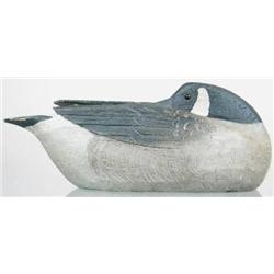 Sleeping Canada goose decoy from Quebec, Canada w