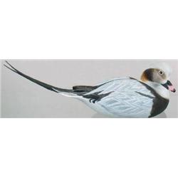 Turned head oldsquaw drake decoy model with glass