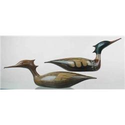 Pair of racy red breasted mergansers numbered #3 