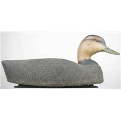 Very nice oversized working black duck decoy by D