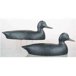 Lot of two early hollow black ducks attributed to