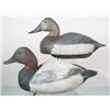 Image 1 : Pair of canvasback decoys by Benjamin Schmidt (18