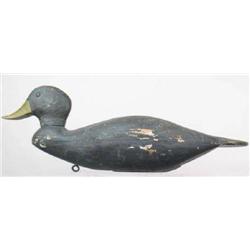 Marthas Vineyard black duck decoy with folk form 