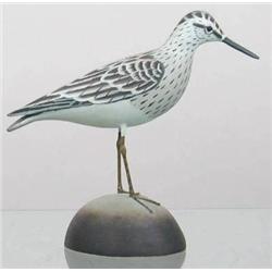 Lesser sandpiper in XOC. Signed James Lapham, Den