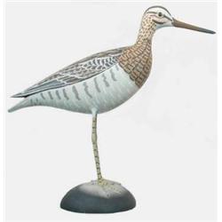 Lifesize common snipe in XOC.   Signed James Laph