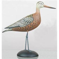 Rare near life sized Hudsonian godwit signed Huds