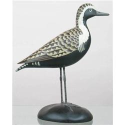 Near life sized golden plover signed Golden Plove