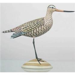 Half sized marbled godwit signed Marbled Godwit, 