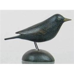 RARE miniature European starling by A. E. Crowell