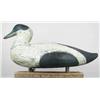 Image 1 : Magnum drake eider ca early 1900s from Deer Islan