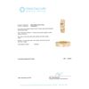 Image 5 : 14KT Yellow Gold Ladies Watch