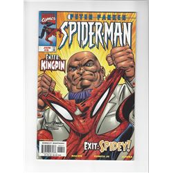 Peter Parker Spider-Man Issue #8 by Marvel Comics