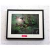 Image 1 : 2005 Signed Ltd. Edition Marjorie J Toro Photograph